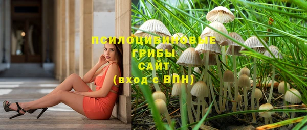 дживик Касимов