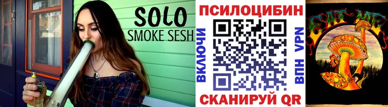 Купить закладки  Палласовка  Псилоцибиновые грибы мицелий 